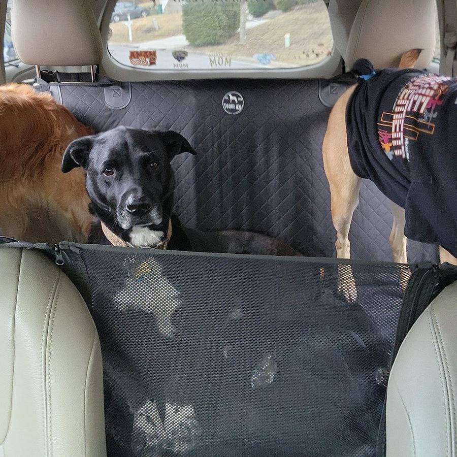Customer photo from Stacey K.: her dogs on a Team K9 seat cover with muddy paw prints on it