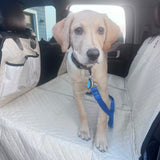Customer photo from Cory B.: her dog Willow standing on the flat floor of a Beige Team K9 hard bottom seat cover