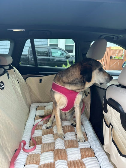 Customer photo from Laura G.: seat cover installed, Beige + plush bed