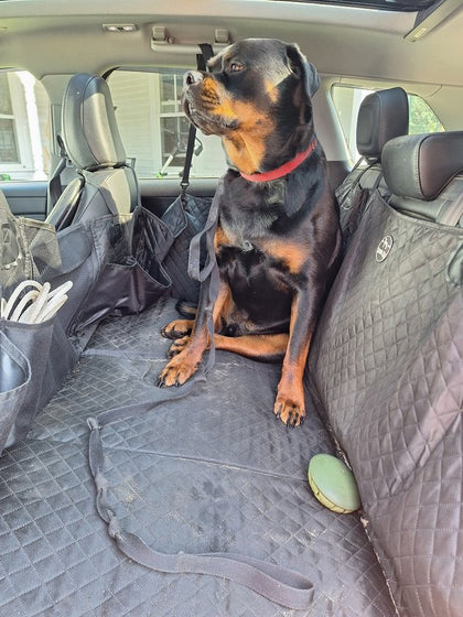 Customer photo from Nancy T.: seat cover installed, 120 lb Rottweiler