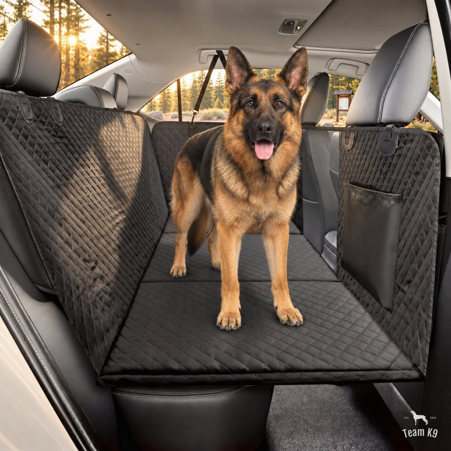 German shepherd standing on the flat hard bottom seat cover in the back seat