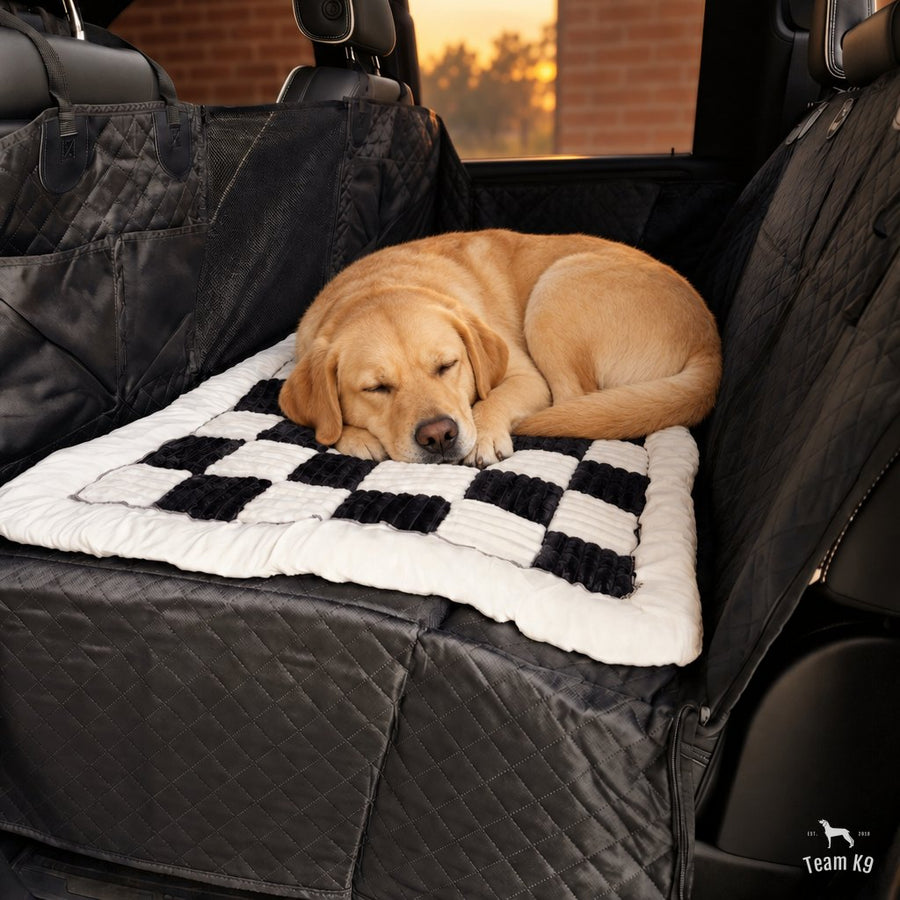 Labrador asleep on the plush checkered bed on the seat cover