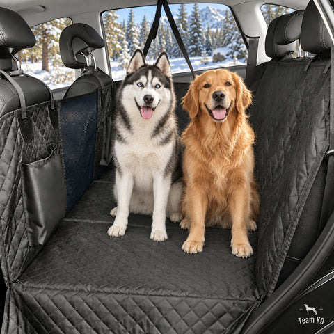 Husky and golden retriever sitting on the black seat cover