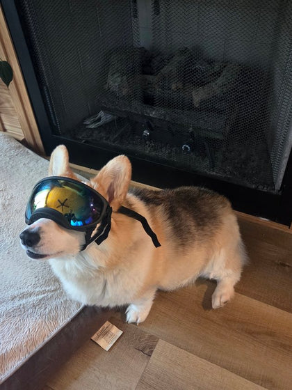 Customer photo from Steven W.: Loki
