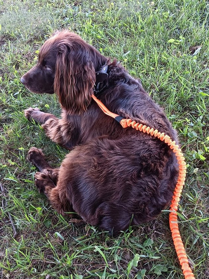 Customer photo from Val S.: Blaze Orange