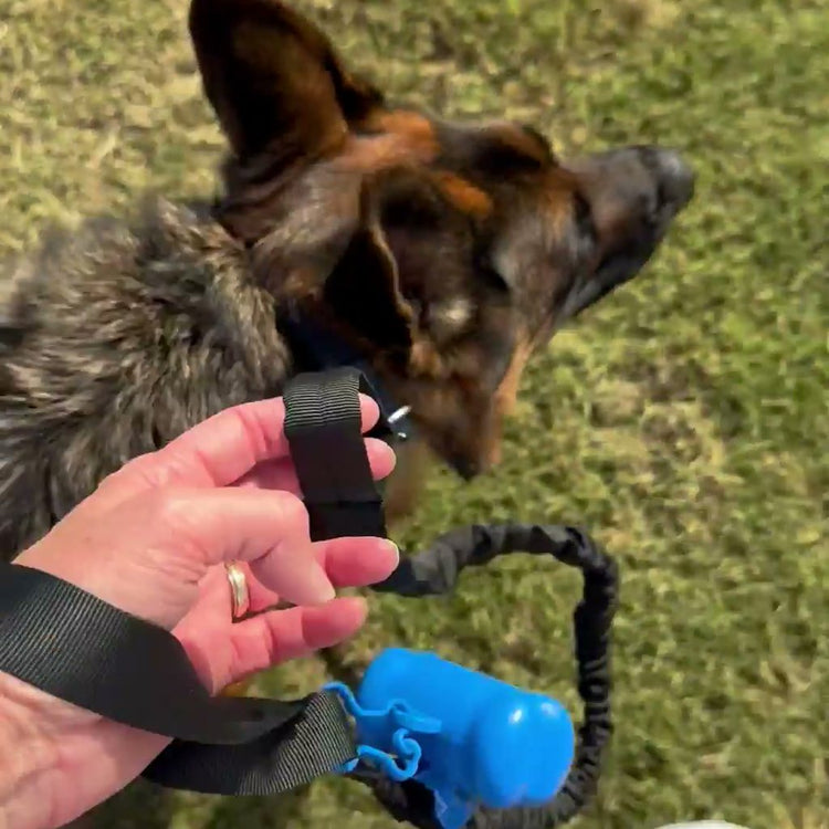 A hand holding the second handle of a black Team K9 bungee leash next to a German Shepherd