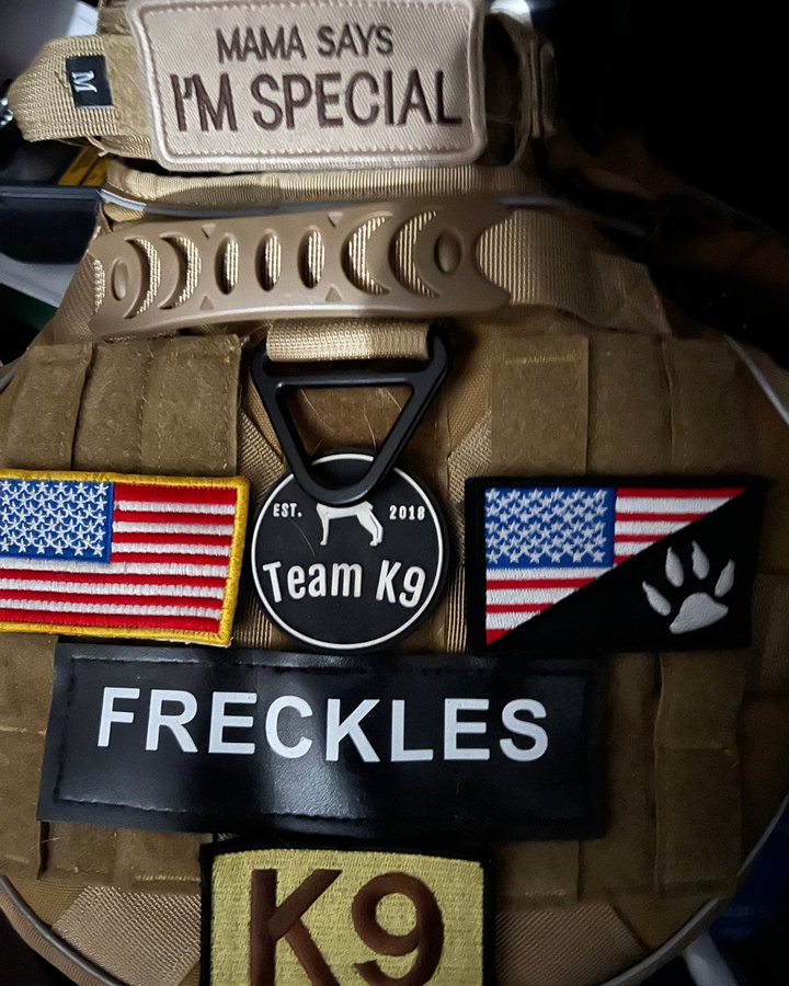 Team K9 harness with a FRECKLES name patch, a K9 patch, USA flag patches and the Team K9 logo patch