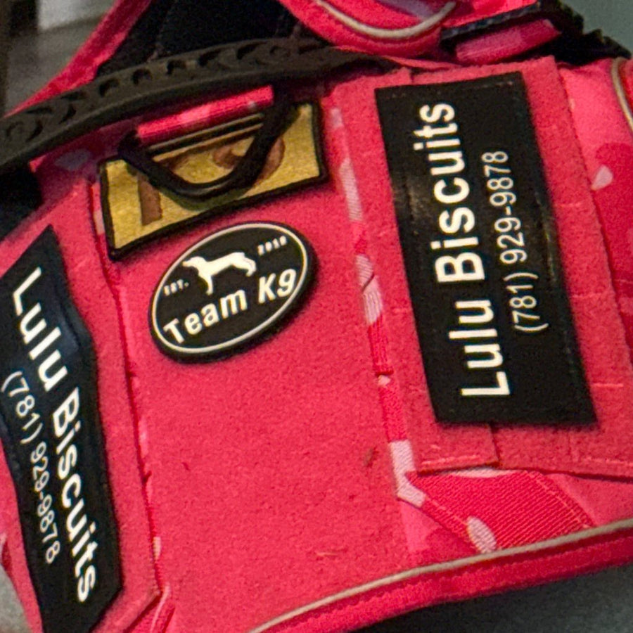Pink Camo Team K9 harness with Lulu Biscuits name patches and a phone number on both sides