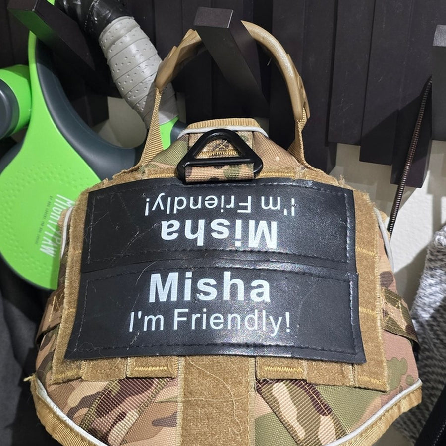 MultiCam Team K9 harness with a patch reading Misha, I'm Friendly!