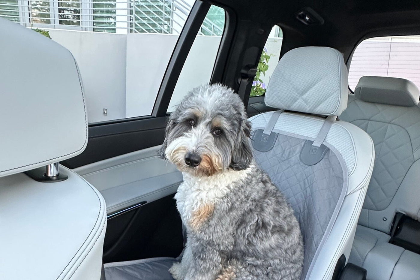 Bernedoodle sitting on a Gray Team K9 single-seat cover in a BMW X7