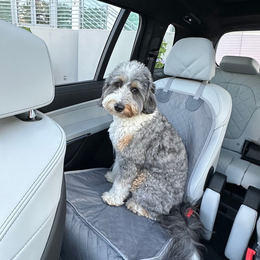 Bernedoodle on a Gray Team K9 single-seat cover on a BMW X7 captain's chair