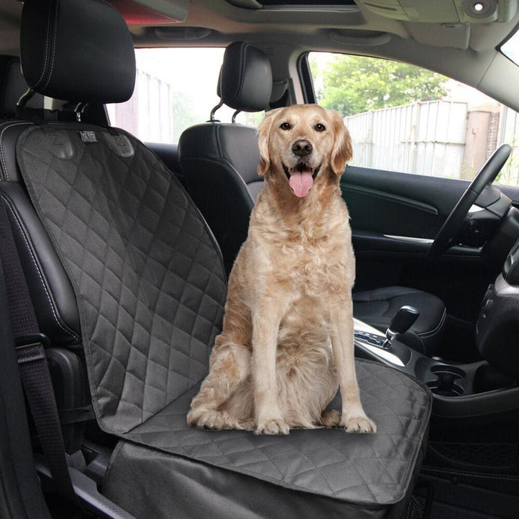 Golden Retriever sitting on a Black Team K9 single-seat cover on a front seat