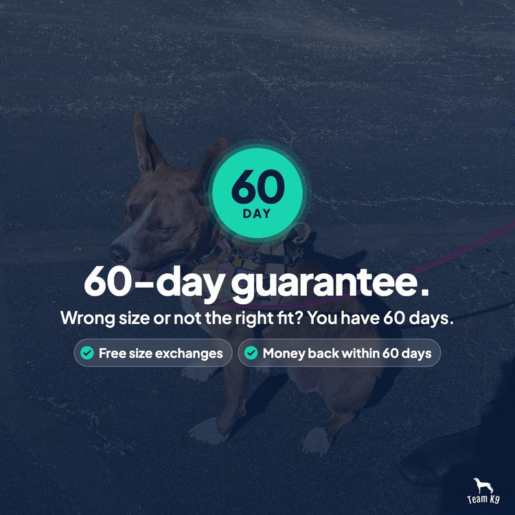 Card: 60-day guarantee. Wrong size or not the right fit? You have 60 days. Free size exchanges, Money back within 60 days