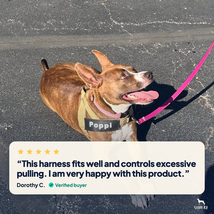 Card: five-star review from Dorothy C.: This harness fits well and controls excessive pulling. I am very happy with this product.