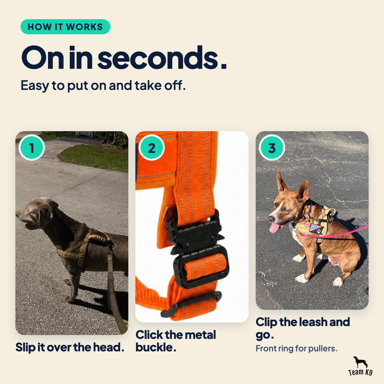 Card: On in seconds. 1. Slip it over the head. 2. Click the metal buckle. 3. Clip the leash and go.