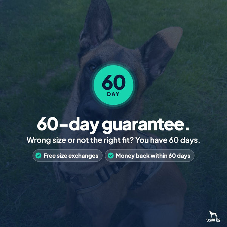 Card: 60-day guarantee. Wrong size or not the right fit? You have 60 days. Free size exchanges, Money back within 60 days