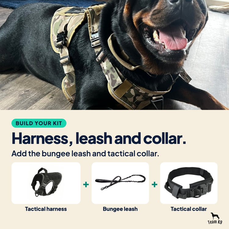 Card: Harness, leash and collar. Tactical harness, Bungee leash, Tactical collar