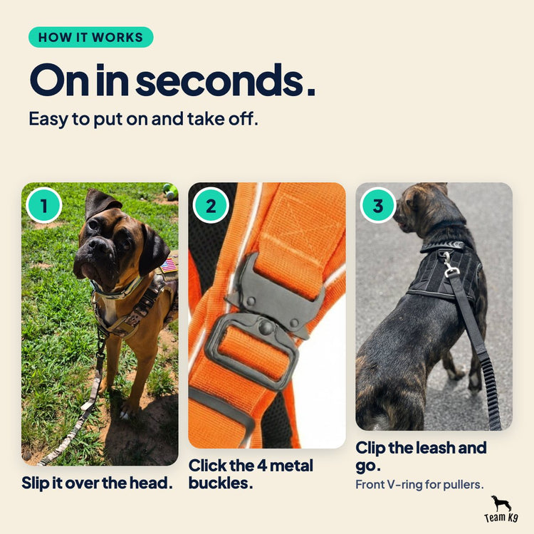 Card: On in seconds. 1. Slip it over the head. 2. Click the 4 metal buckles. 3. Clip the leash and go.