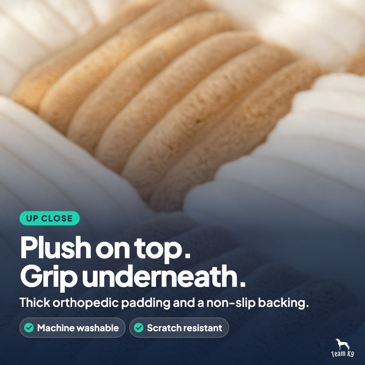 Plush on top. Grip underneath. Thick orthopedic padding and a non-slip backing. Machine washable, scratch resistant.
