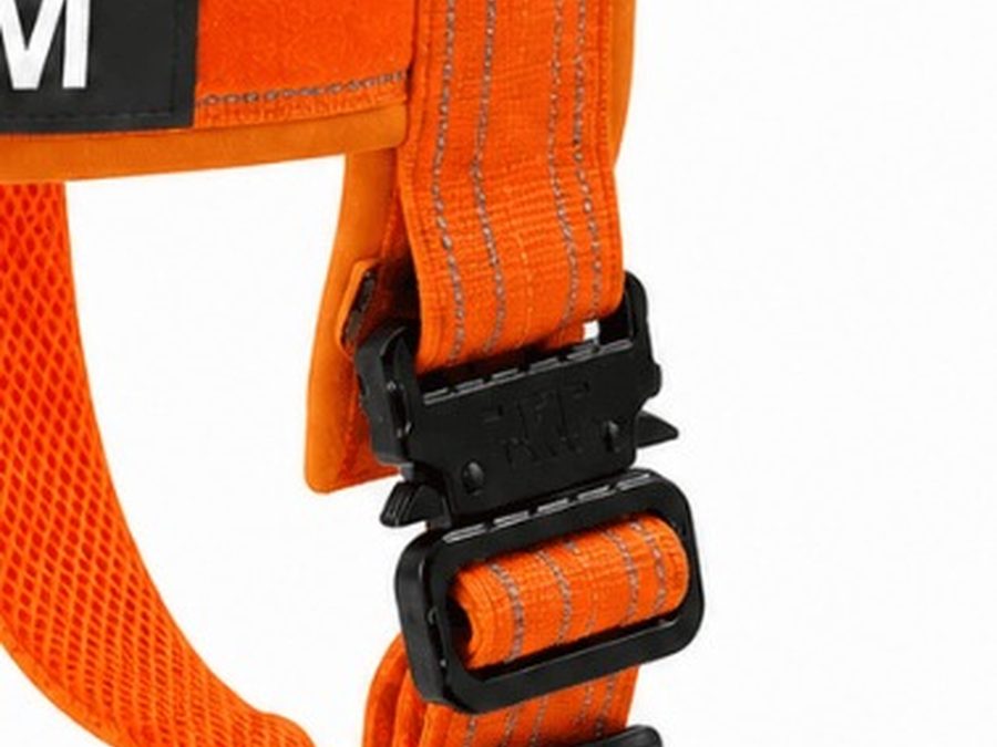 Click the metal buckle.