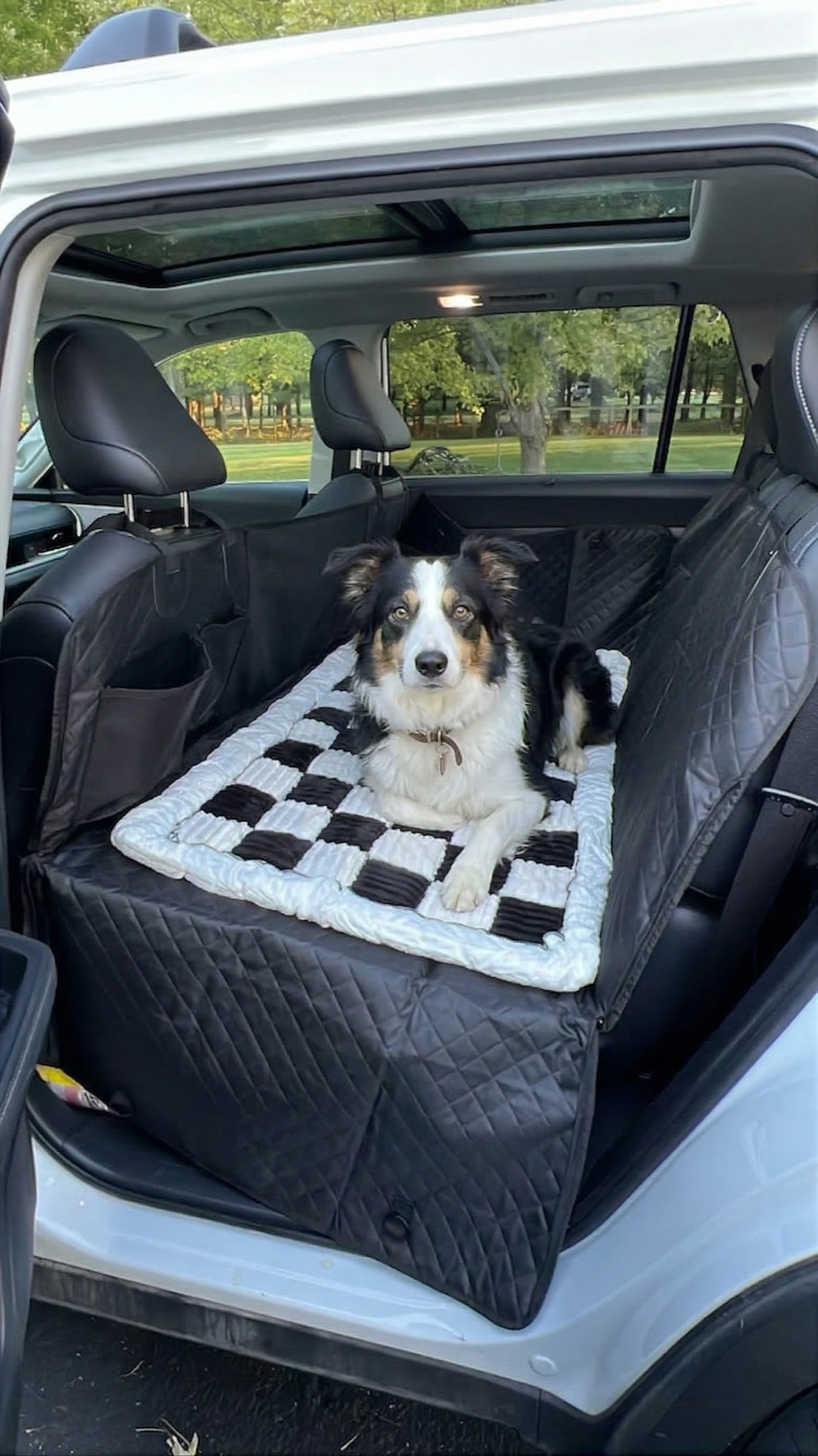 Dog sitting on a back seat cover inside a vehicle