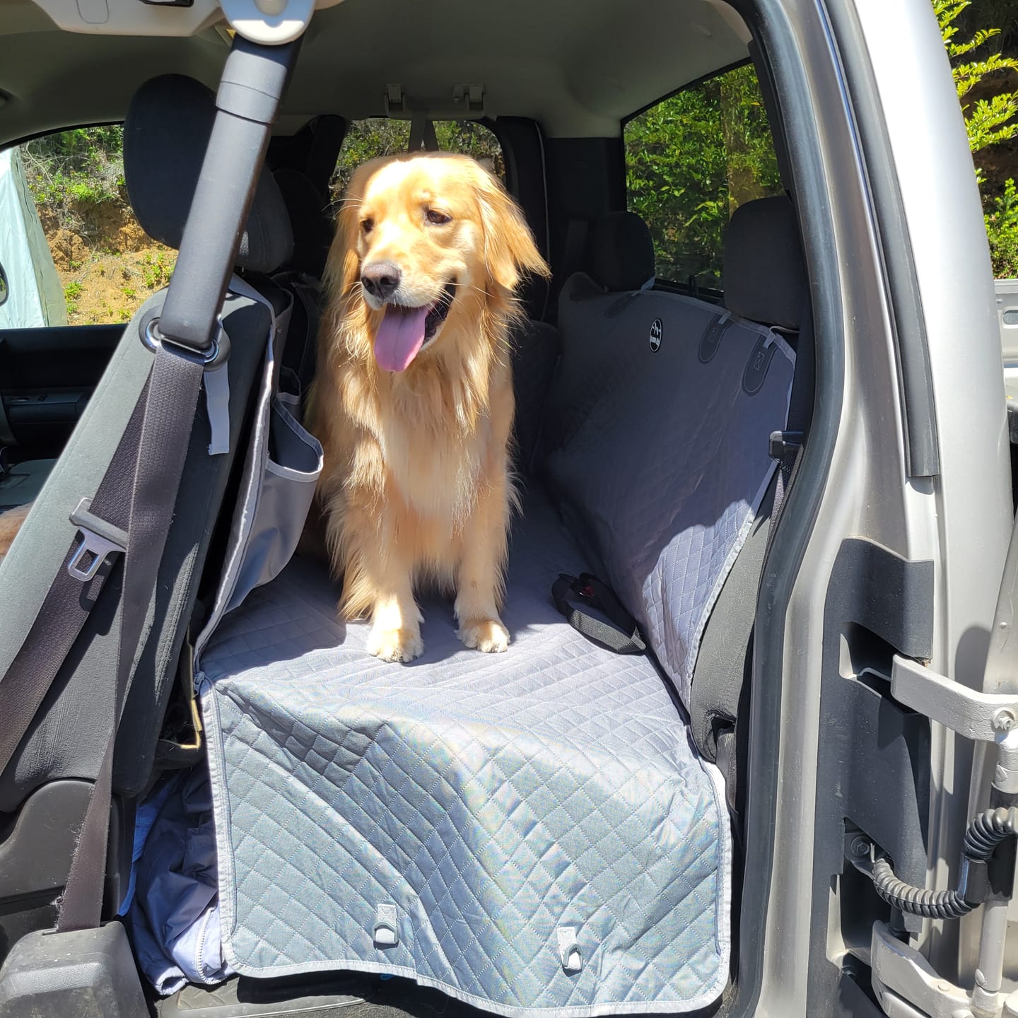 Customer golden retriever standing on a Team K9 back seat extender