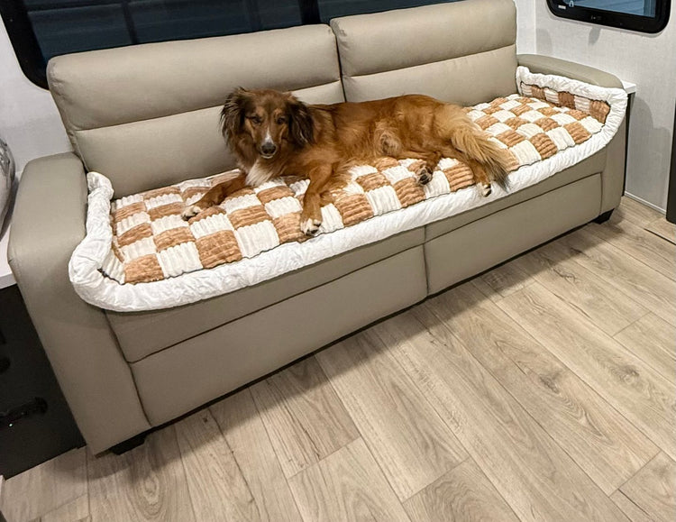 A red long-haired dog lying on a brown and white Team K9 cover on a light RV sofa