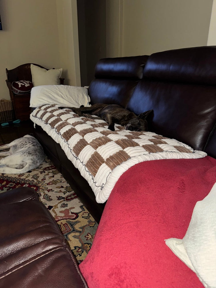 A small dark dog asleep on a brown and white Team K9 cover on a dark leather sofa