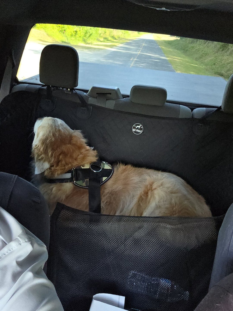 A golden dog lying on a black Team K9 hard bottom seat cover behind the mesh window, looking out the back