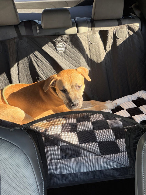A customer’s dog resting on the plush bed over the hard bottom seat cover