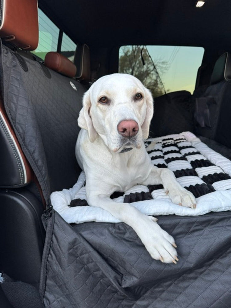 Stella, Jennifer N.'s white Labrador, lying on a black Team K9 hard bottom seat cover with a plush bed in a truck