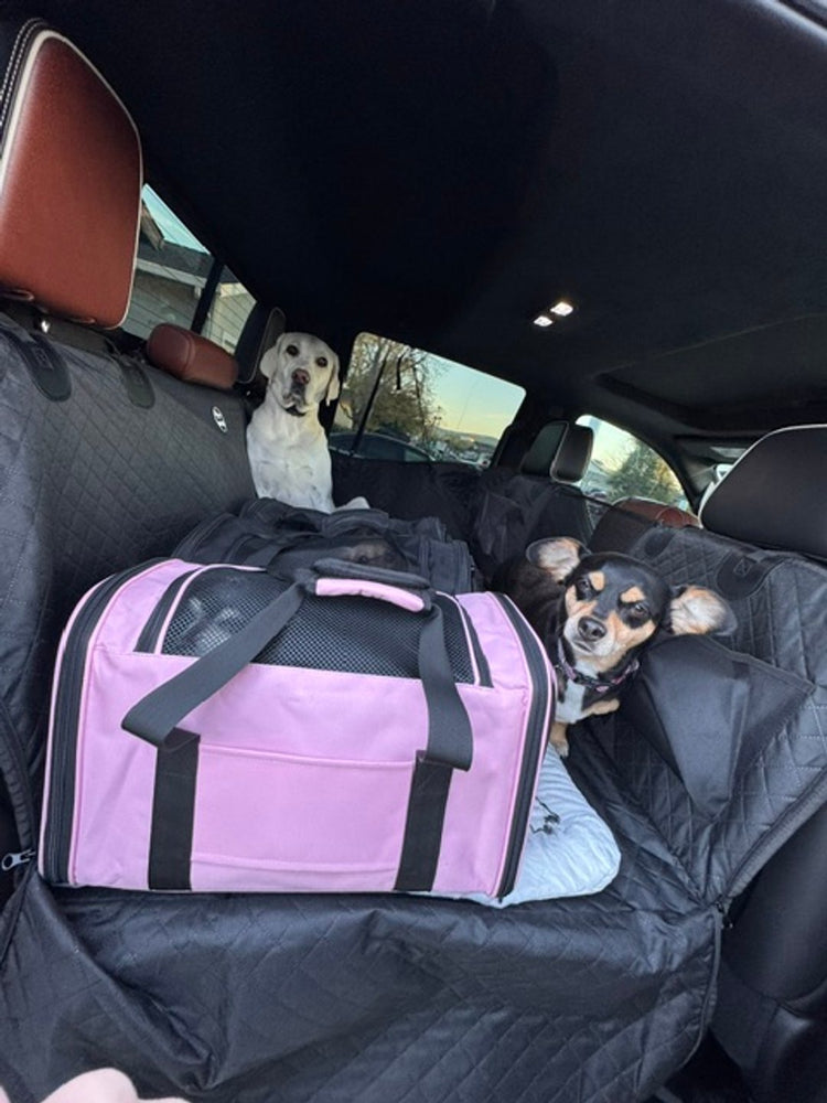 Two of Jennifer's small dogs on the Team K9 seat cover with a small carrier