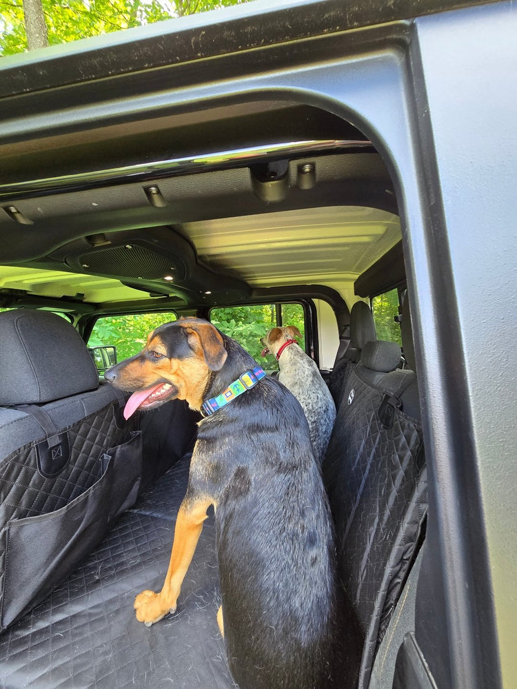 One of the two dogs looking out of the open Jeep door, the other behind, both on the flat Team K9 seat cover