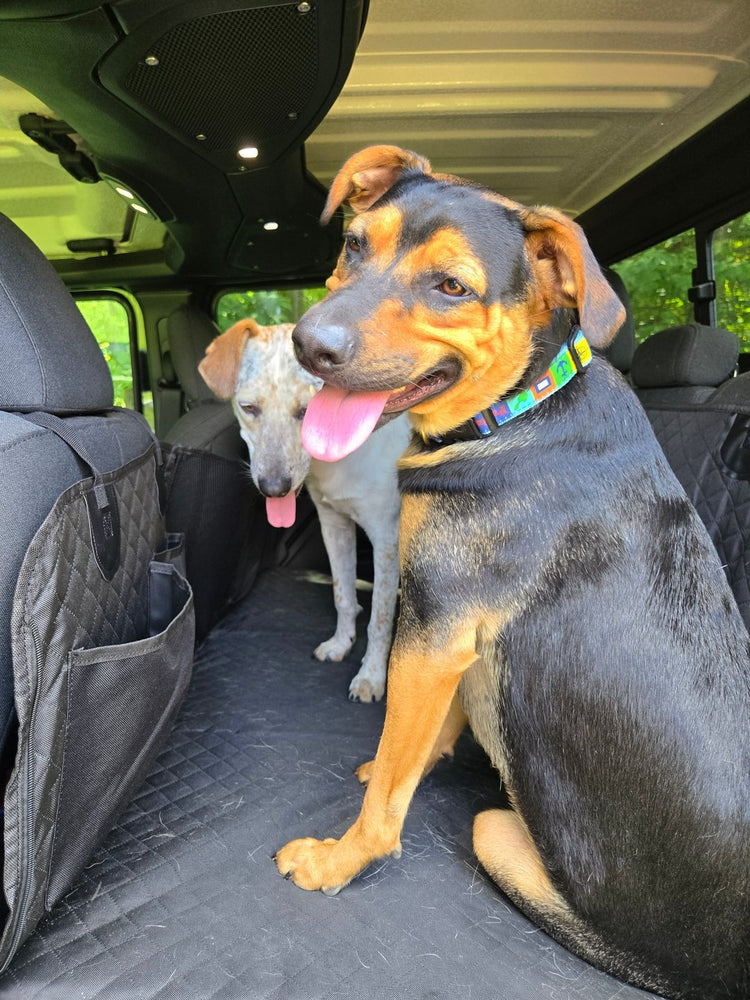Bryan S.'s two dogs, Evie and Sailor, standing on a flat black Team K9 hard bottom seat cover in the back of a Jeep