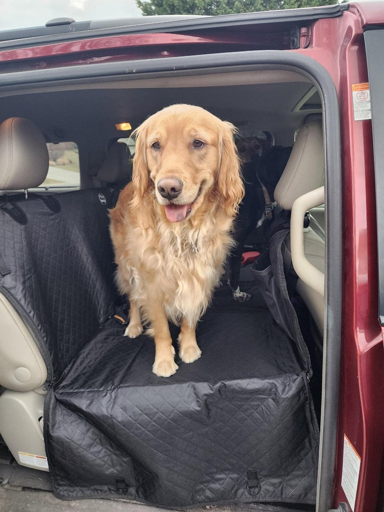 Bella, a golden retriever, standing on a black Team K9 hard bottom seat cover in the open side door of a red van