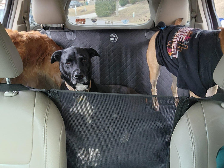 Three dogs on the Team K9 seat cover seen from the front seats, through the cover's mesh window