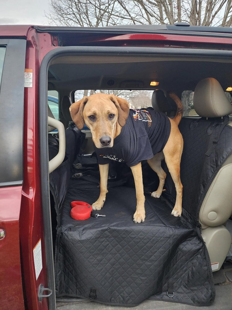 A tan dog in a black T-shirt standing on the black Team K9 hard bottom seat cover in the van's open side door