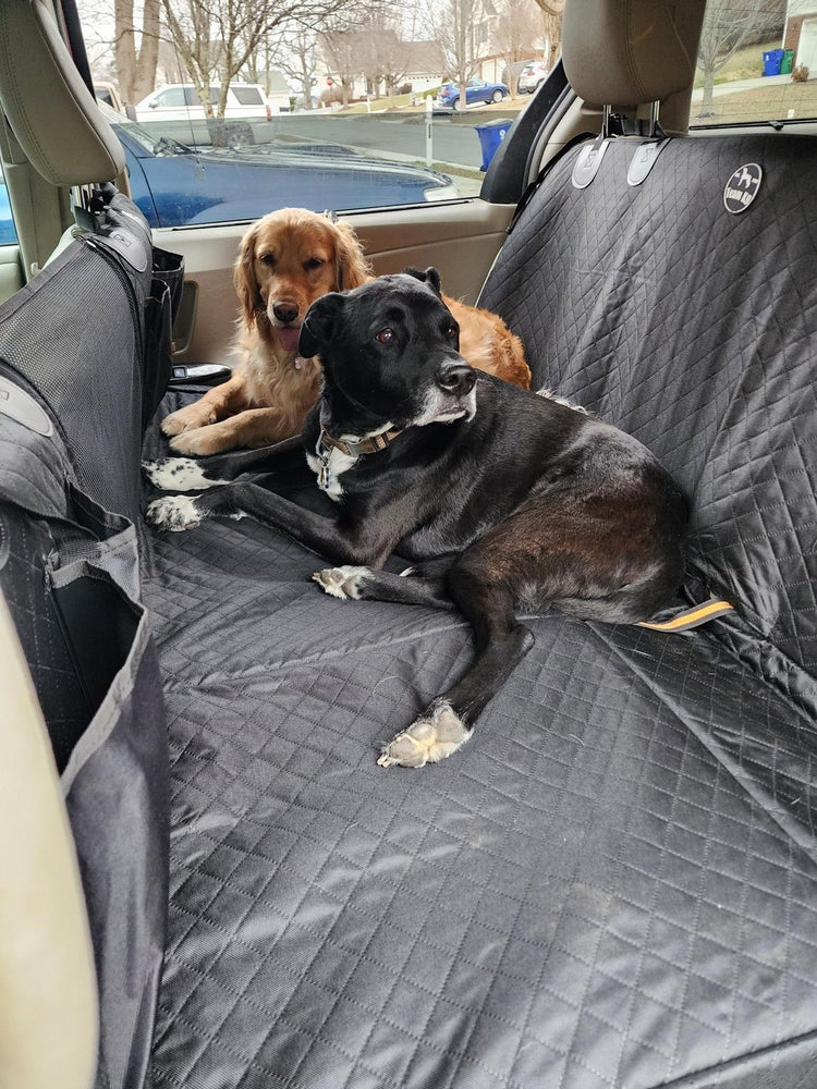 Two of Stacey K.'s dogs, a golden retriever and a black dog, lying down on a black Team K9 hard bottom seat cover in a van