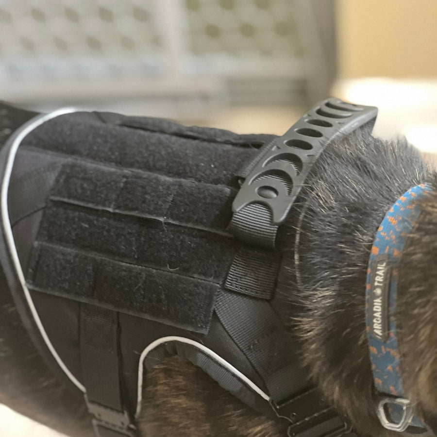 Close view of a K9 Black Team K9 harness on a customer's dog, showing the rubber-grip top handle and the reflective piping