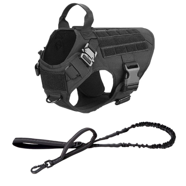 Team K9 Classic harness in K9 Black with the matching bungee leash