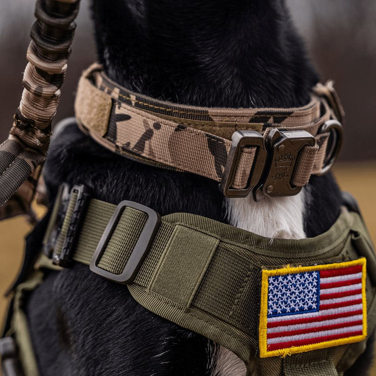 Close view of the front of a Team K9 Classic harness on a dog, with the leash clipped at the chest