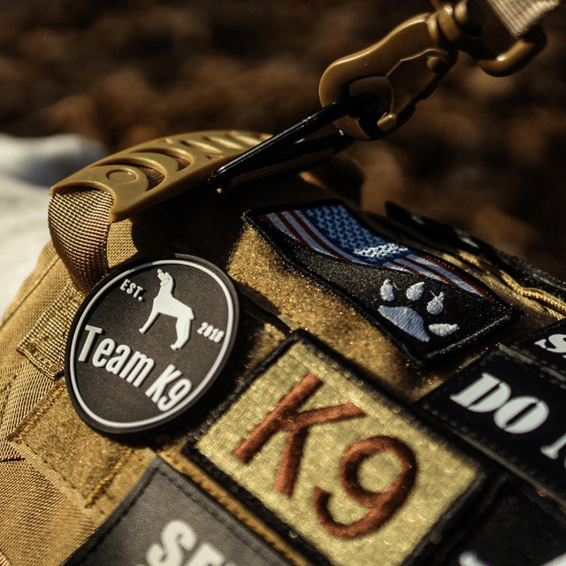 Close view of the reinforced top handle on a Desert Brown Team K9 harness, with a leash clipped on