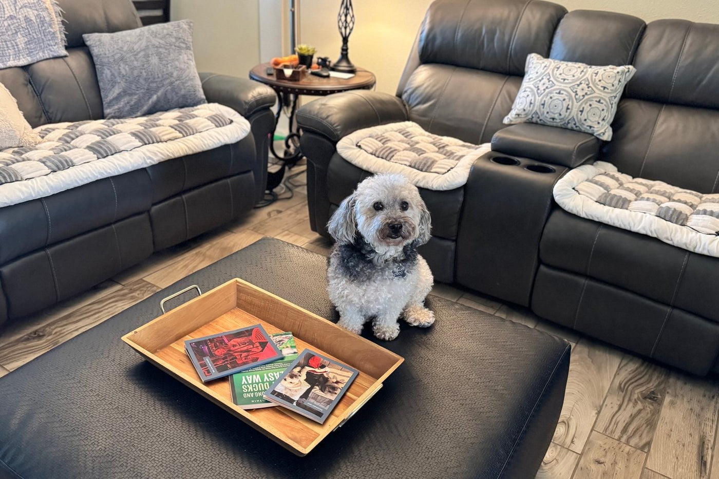 A customer's small dog sitting on an ottoman between two reclining sofas with Gray Team K9 covers