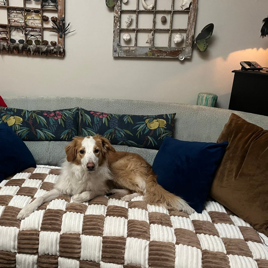 Customer photo from Connie S.: a dog on a Brown Team K9 couch cover