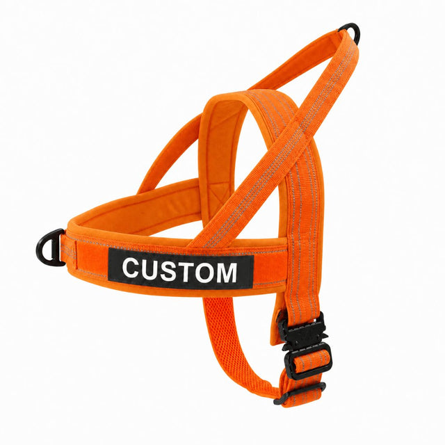 Team K9 lightweight harness in Blaze Orange with a CUSTOM name patch