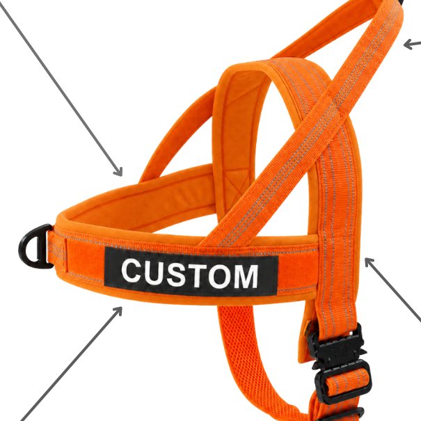 Team K9 lightweight harness in Blaze Orange with a CUSTOM name patch, showing its padded straps and reflective stitching