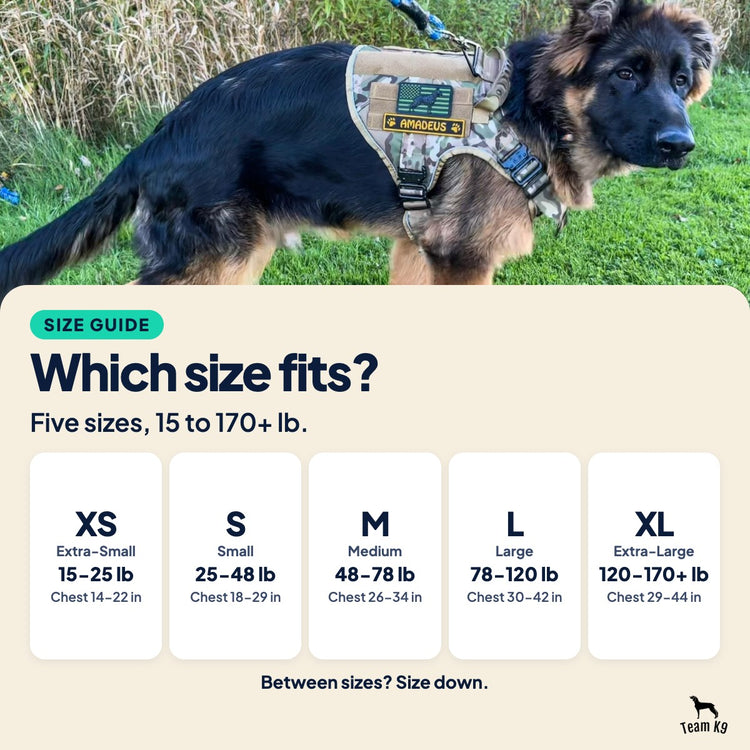 Size guide card over a photo of a German Shepherd puppy in a MultiCam Team K9 tactical harness: five sizes from 15 to 170+ lb, Extra-Small to Extra-Large with weight and chest ranges. Between sizes, size down.