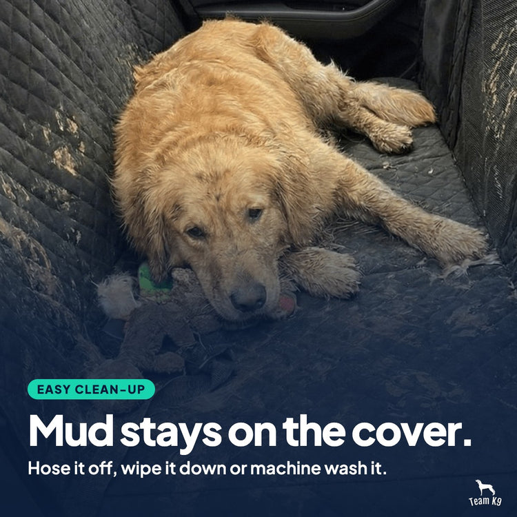 Easy clean-up card: a muddy golden retriever lying on the black cover. Mud stays on the cover. Hose it off, wipe it down or machine wash it.