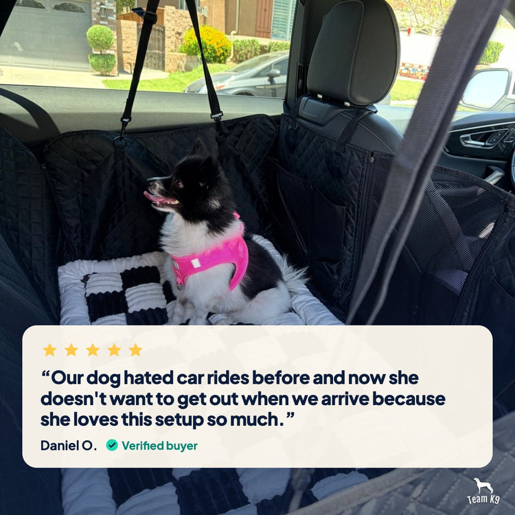 Review card: a small black and white dog in a pink harness on the cover, with Daniel O.'s verified 5-star review about a dog who used to hate car rides