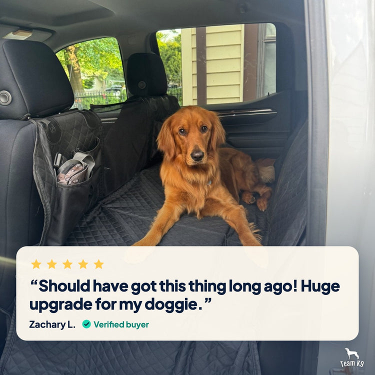Review card: a golden retriever lying on the cover in a truck, with Zachary L.'s verified 5-star review: Should have got this thing long ago! Huge upgrade for my doggie.